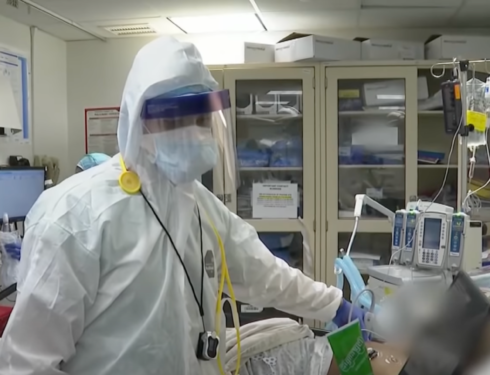 Pandemic winners and losers in terms of jobs losses and deaths