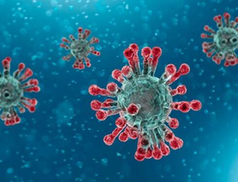 2017 bat-to-human Covid study confirms Wuhan Institute of Virology was subcontracted in NIH grant