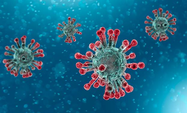 2017 bat-to-human Covid study confirms Wuhan Institute of Virology was subcontracted in NIH grant