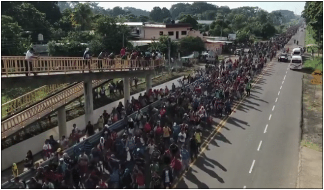 Cheap Labor at What Cost: Americans Demand Citizens First Immigration Policy